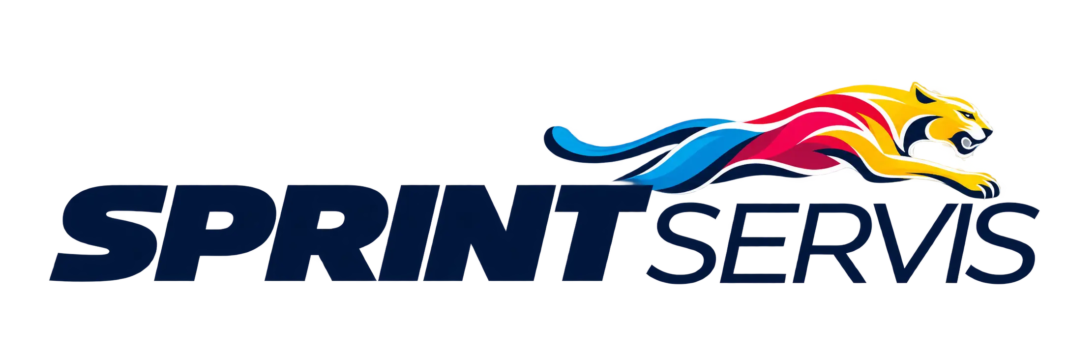 sprintservis.cz